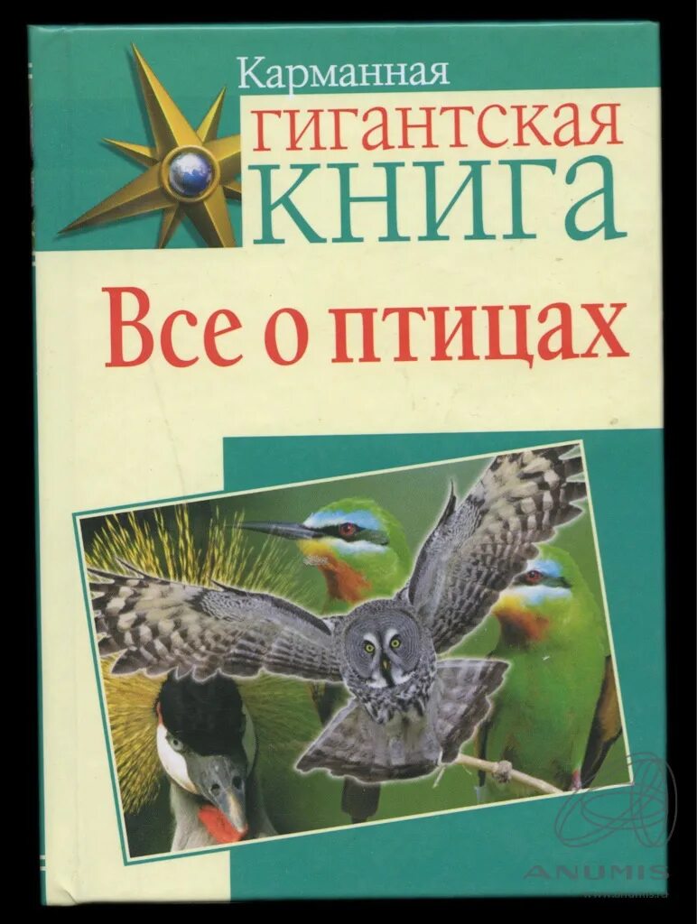 Книжки про птиц. Книги о птицах для детей. Детская литература о птицах. Птицы России книга.