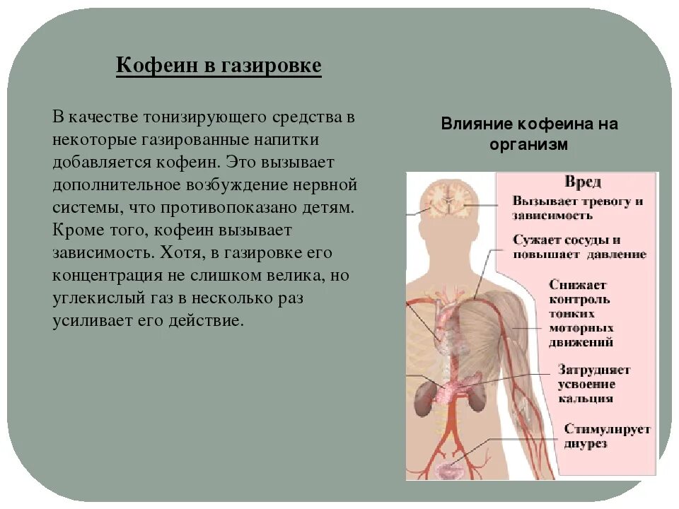 Воздействие кофеина