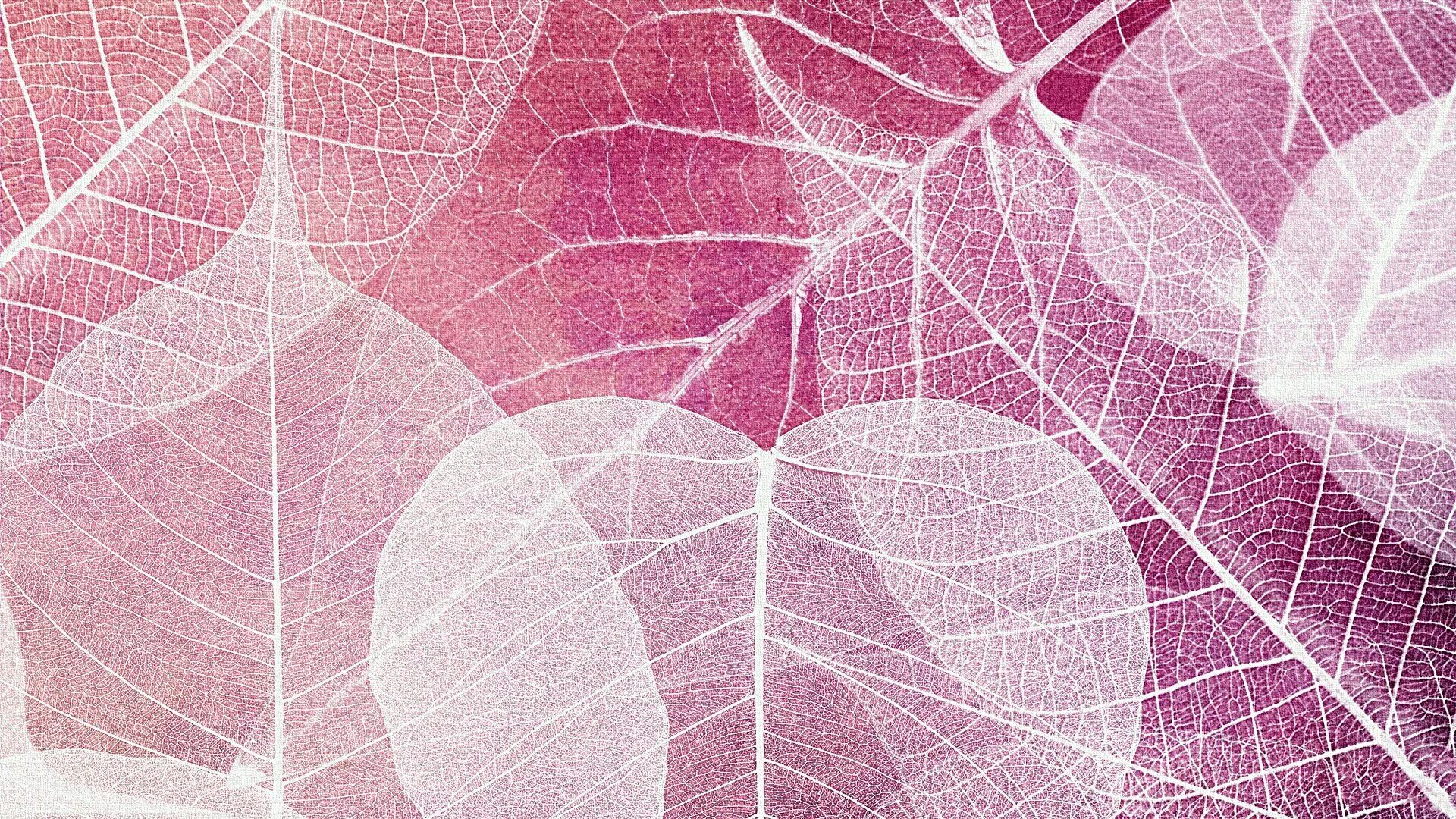 Розовый лист. Стильный фон. Сиреневые листья. Текстуры для фотошопа красивые.