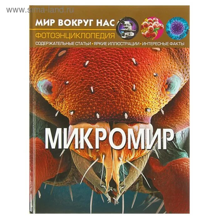 Мир вокруг факты. Мир вокруг. Мир вокруг факты. Энциклопедия. Любопытные факты вокруг нас.