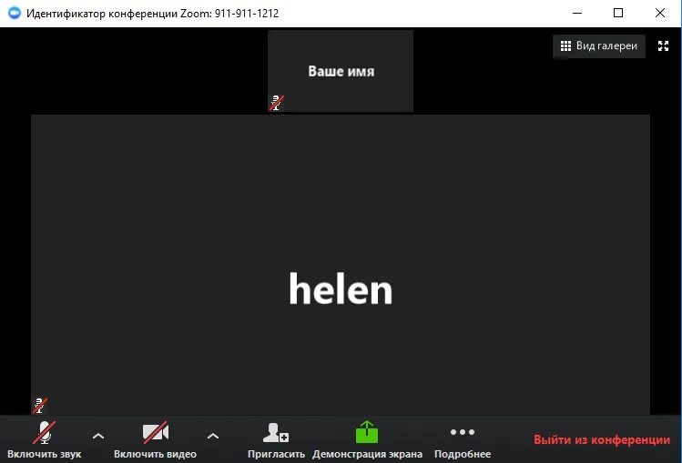 Zoom совещание. Скрин zoom конференции. Zoom интерфейс программы. Зум конференция. Zoom видеоконференция.