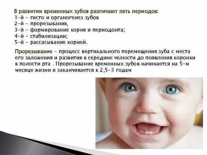 Зубы в 3 5 месяца