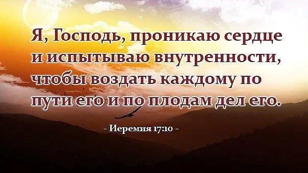 Бог видит сердцем. Господь в сердце. господь видит сердце каждого человека. а сердца испытывает господь. господь испытывает праведного.