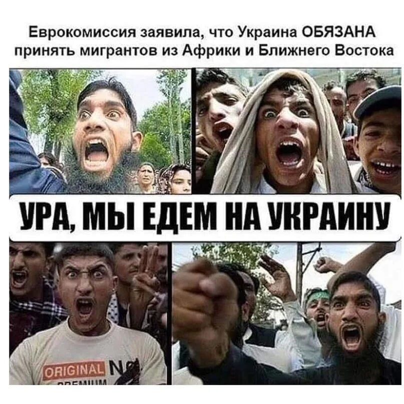 Ненавижу европу