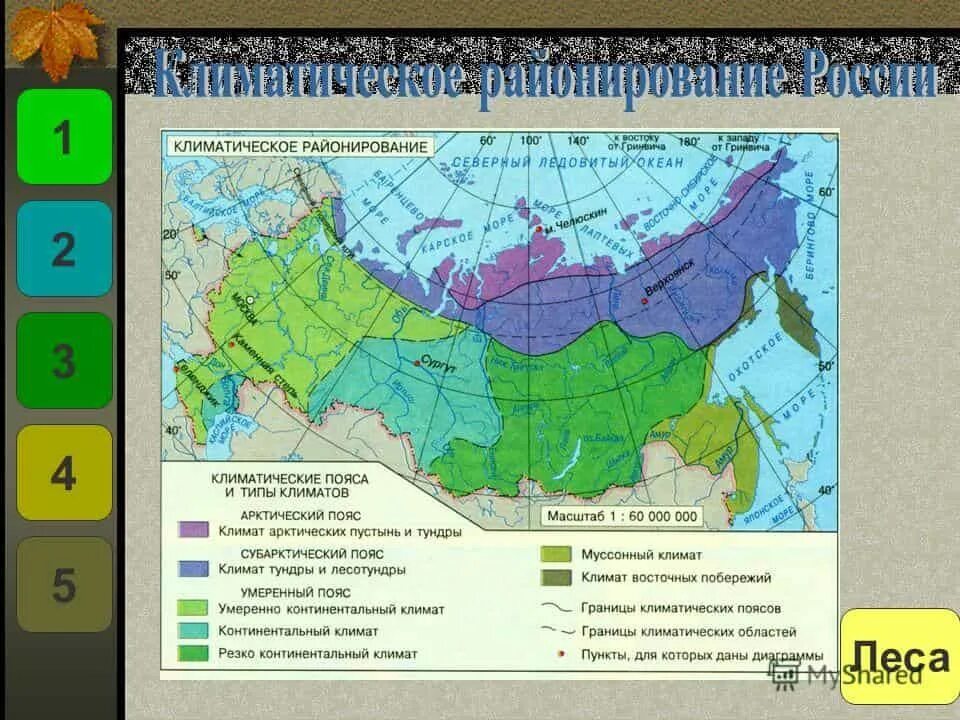 Разнообразие климатических зон россии. Климатические пояса и типы климата России карта. Типы климатических поясов России на карте. Резко континентальный климат в России на карте. Схема климатических поясов России карта.