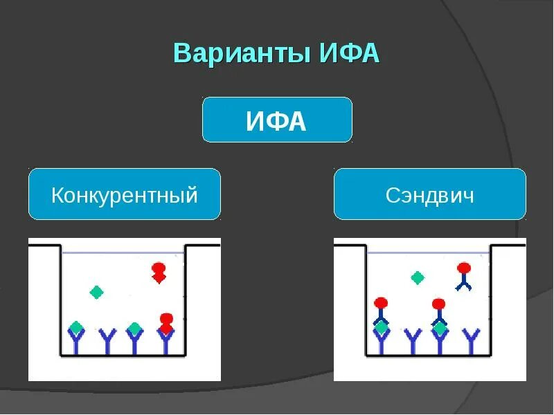 Конкурентный ИФА схема. Сэндвич метод ИФА. Прямой конкурентный ИФА схема. Прямой конкурентный метод ИФА. Ифа качественно что это