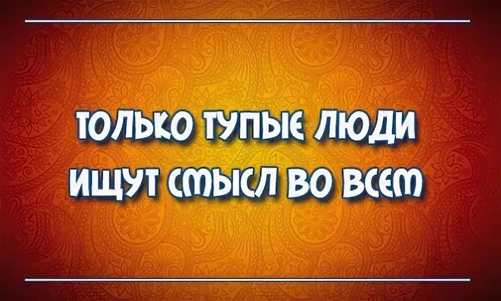 Только тупые люди ищут смысл во всем. Только глупые люди ищут. Только тупые люди ищут смысл во всём Сократ. Только тупые ищет смысл во всём. Канал в поисках смысла