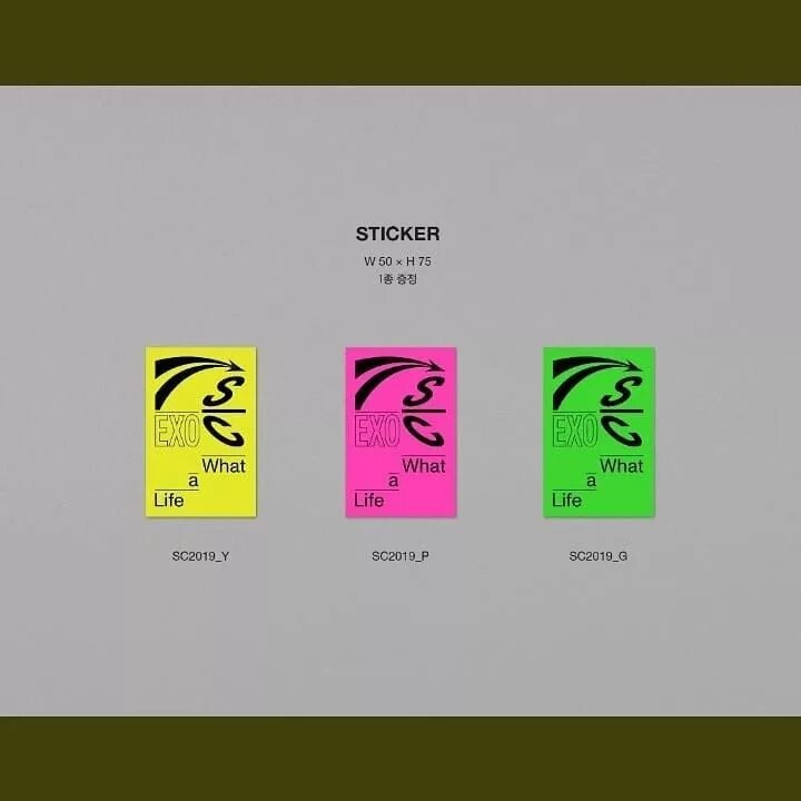 What a life. What a life фильм. Noel gallagher's high flying birds aka. Exo what a life. What a life.