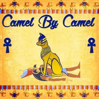 Camel by camel nsfw