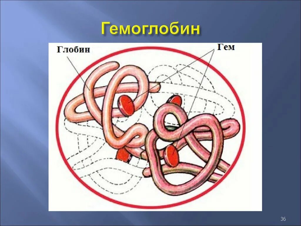 Оксигемоглобин повышение