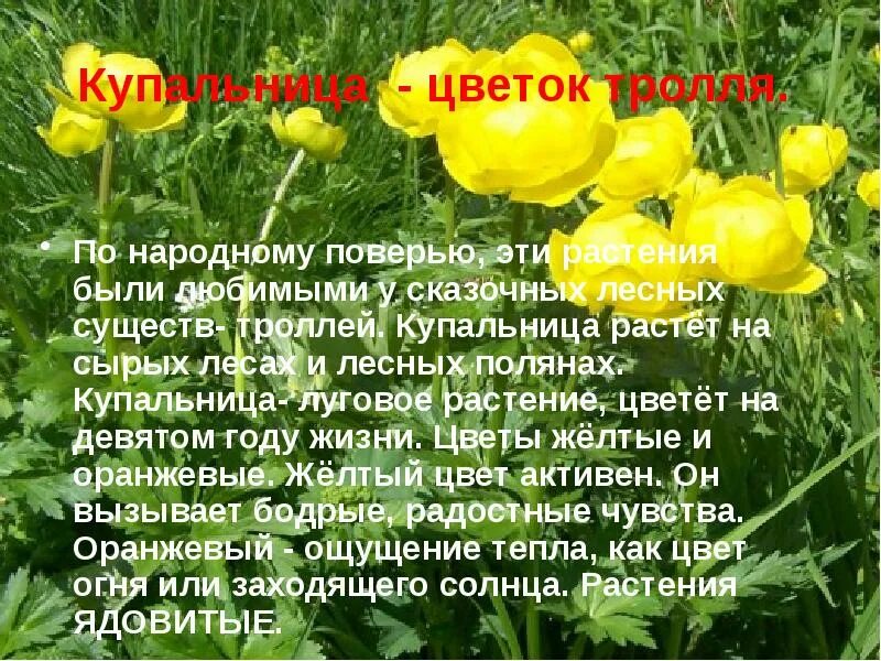 20 мая приметы и поверья