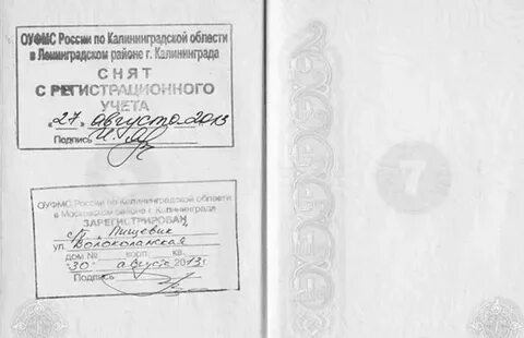 В какой статье это прописано