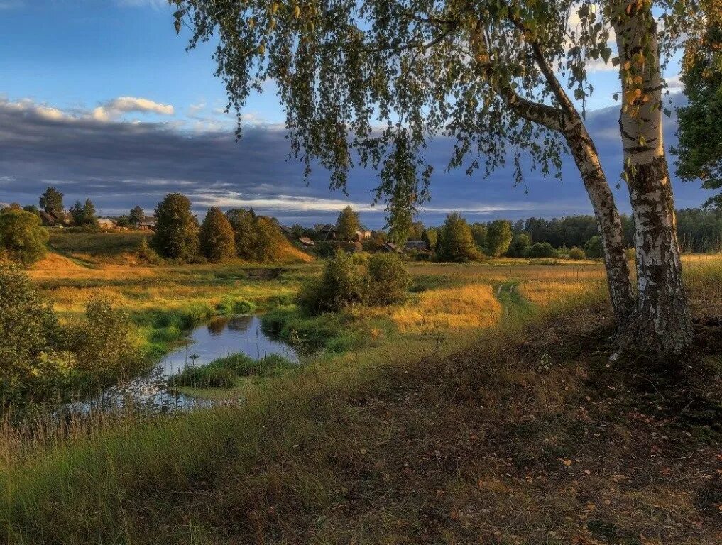 В родных местах дорога. Родные просторы природа родного села. Фотопейзажи Владимира Рябкова. Природа деревня речка Березки. Российские просторы березы Есенин.