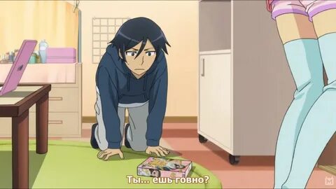 Ну что господа, есть планы на осень? 