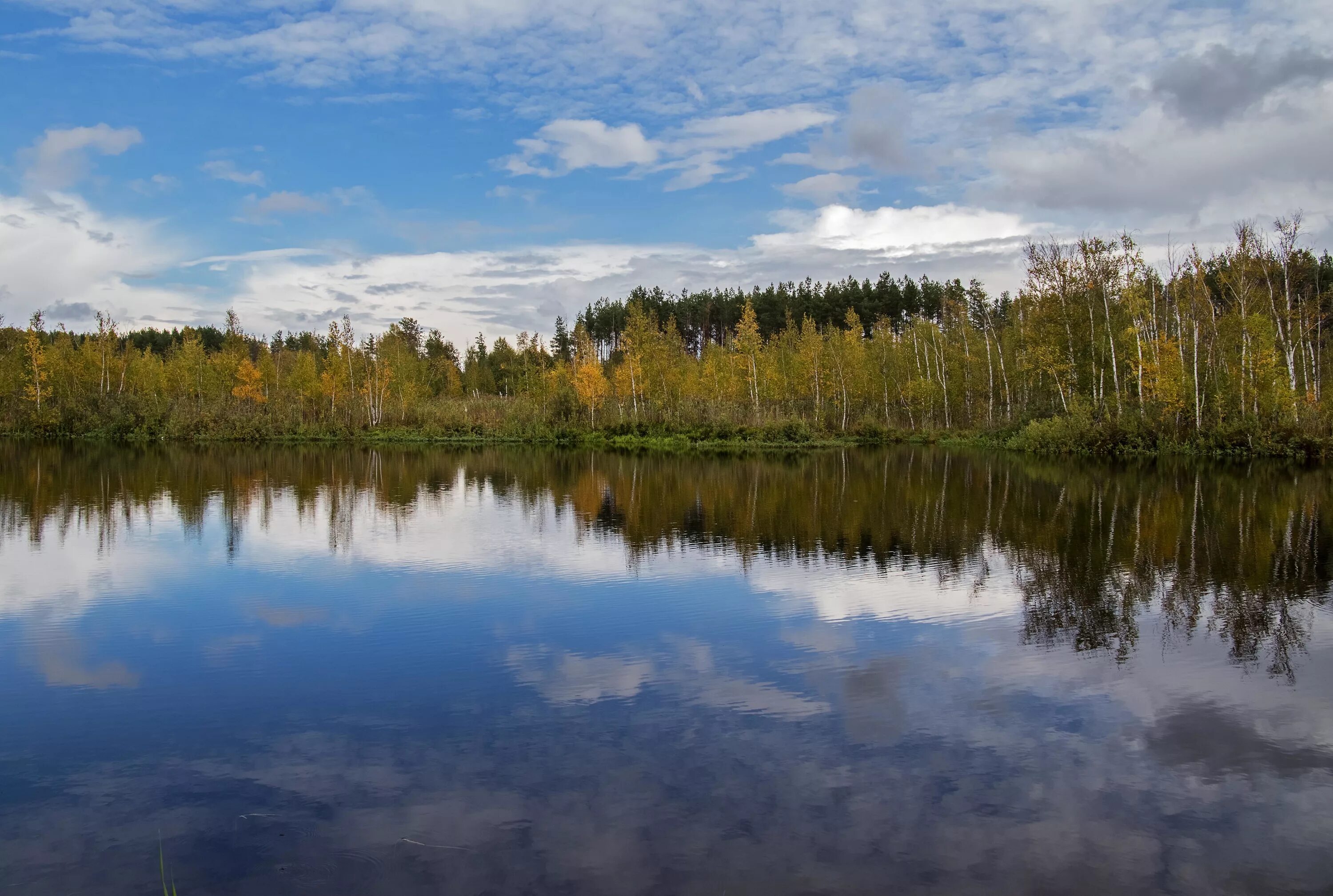 Озеро Моховое Габишево. Моховое (озеро, Лаишевский район). Озеро Моховое Лаишевский район Габишево. Озеро Моховое Татарстан. Погода в м озерах