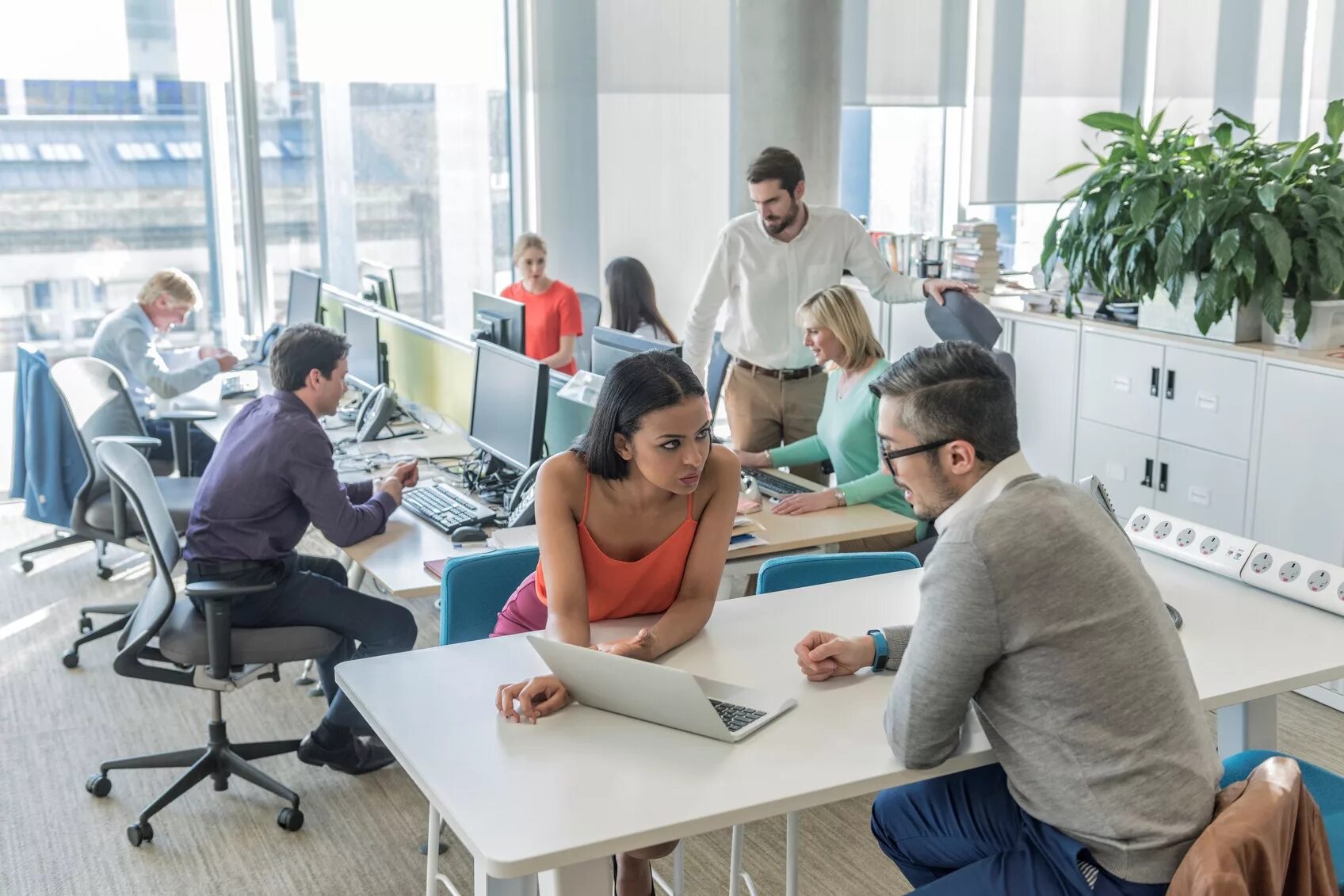 Office users