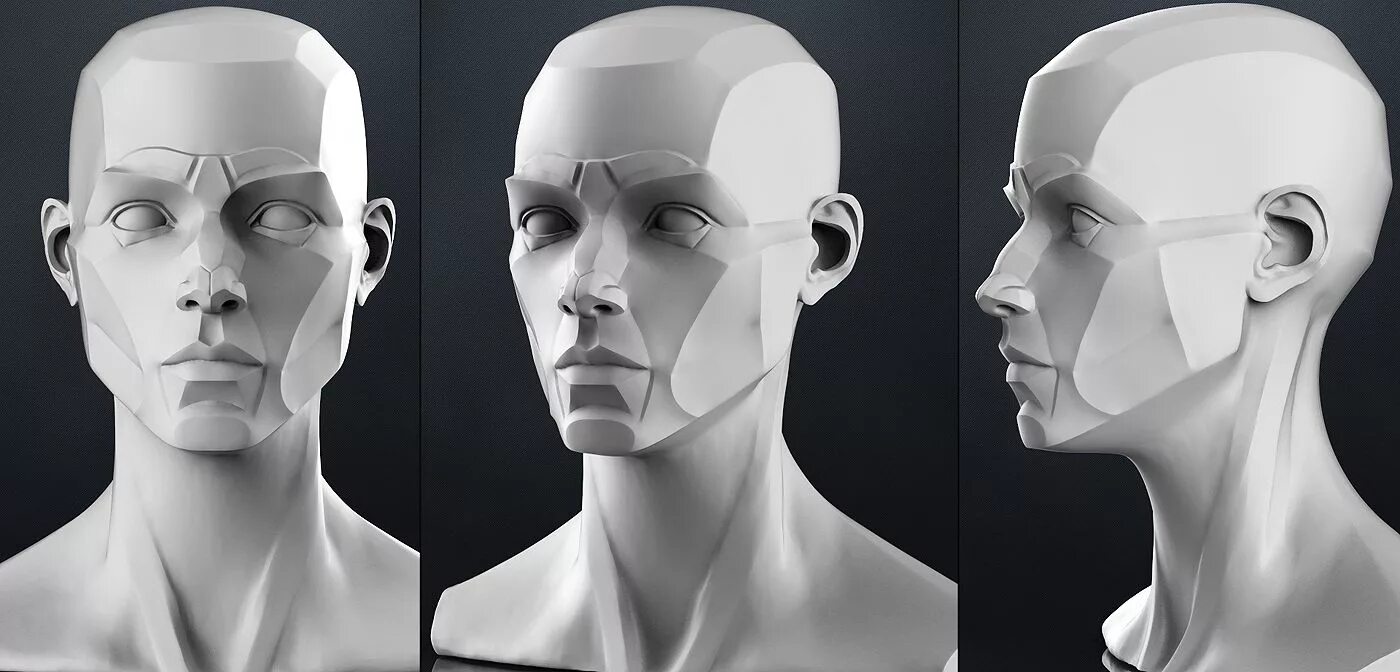 Head forms. Planar head 3d модель. Обрубовка 3в. Экорше головы человека. Голова Гудона обрубовка.