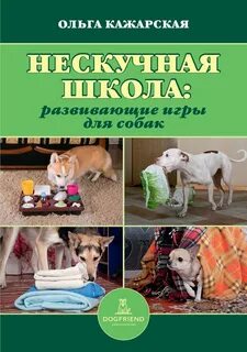 Развивающие игры для собак