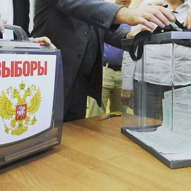 Как прошли выборы депутатов. Избирательная кампания. муниципальные выборы. выборы избирательная кампания. выборы фото.