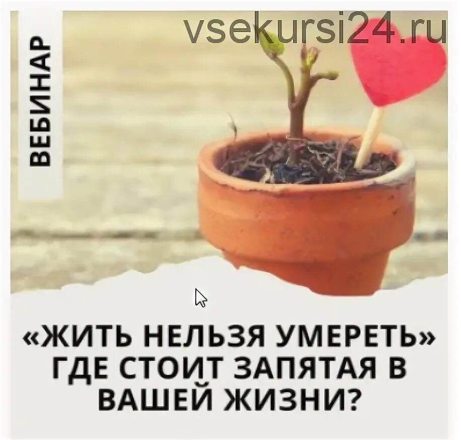 Жизнь свою невозможно прожить идеально невозможно не плакать. Без любви жить невозможно. Надо верить в хорошее. Жить невозможно как жить. Без любви прожить.