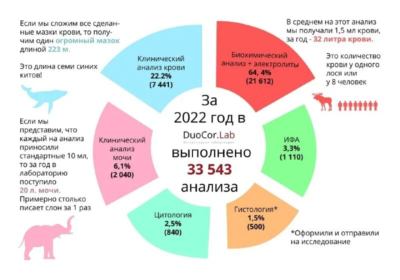Задачи на день. Задача дня петерсон 2022. Международном фестивале "задача дня ". Задача дня 2022. Задача дня петерсон 2022 эмблема.