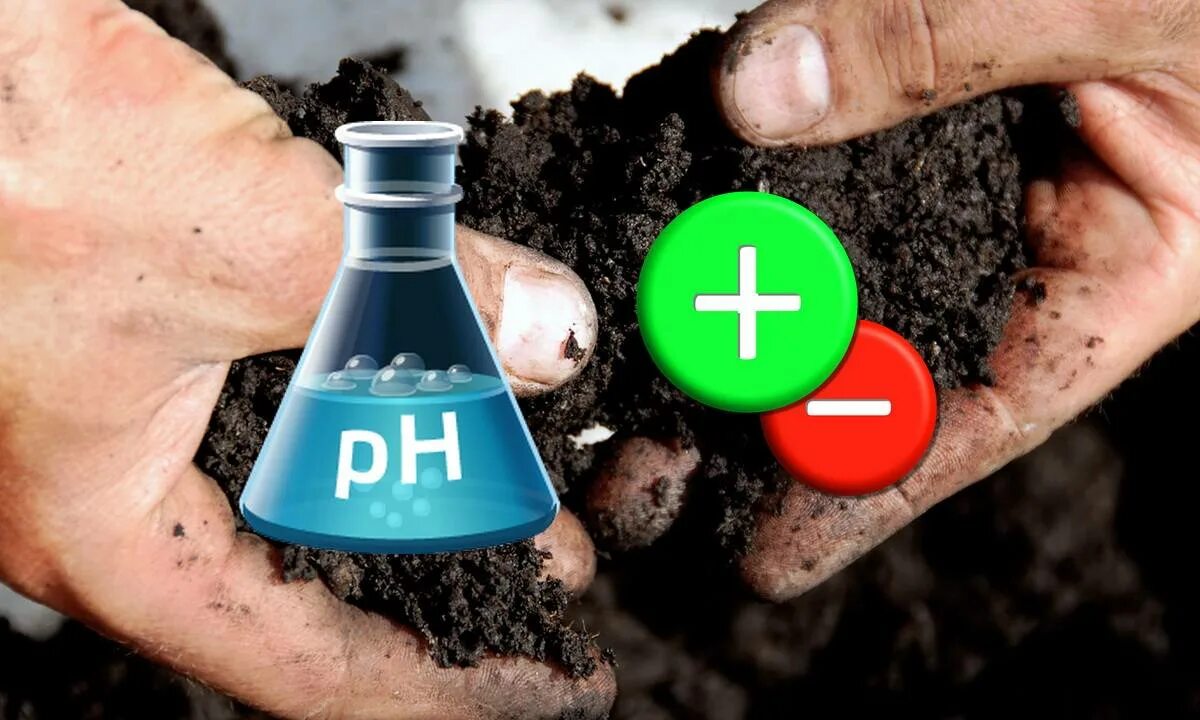 Шкала кислотности почвы. Рн 6,5 кислотность почвы. Снижение кислотности почвы. Определение кислотности почвы. Biopon измеритель кислотности.