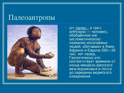 Представители палеоантропов