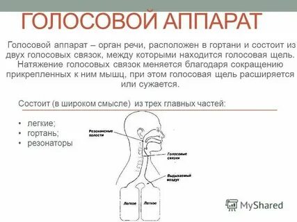 Гортань резонатор