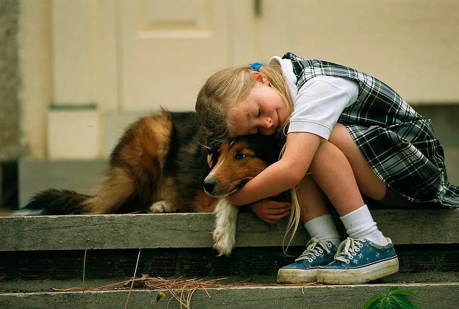 Сочувствие животным. О доброте. Доброе отношение к животным это. Человечность к животным. Люди проявляют доброту