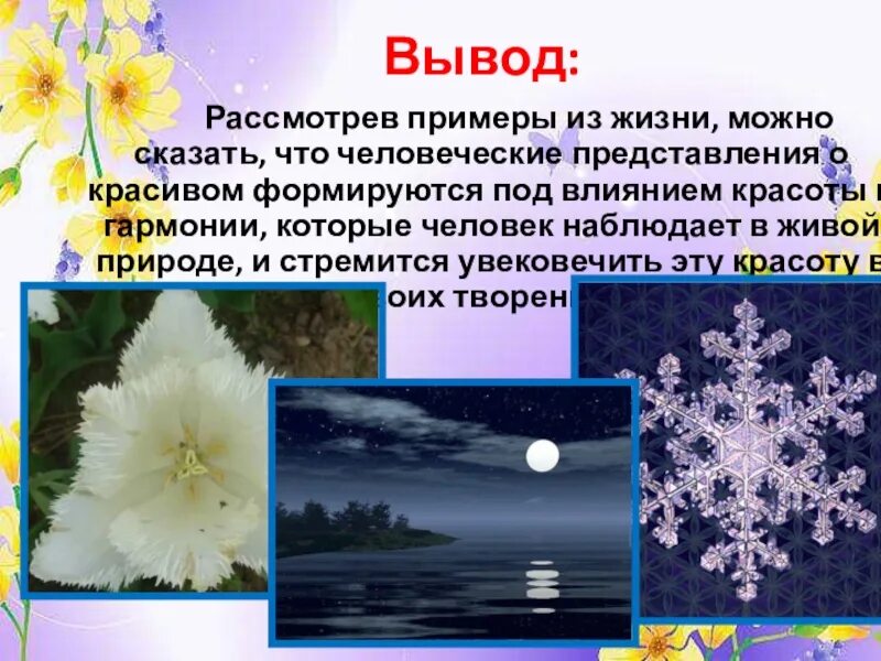 Красота и Гармония в природе вывод. Пример из жизни. Вывод о красоте природы. Примеры красоты в жизни и в природе.