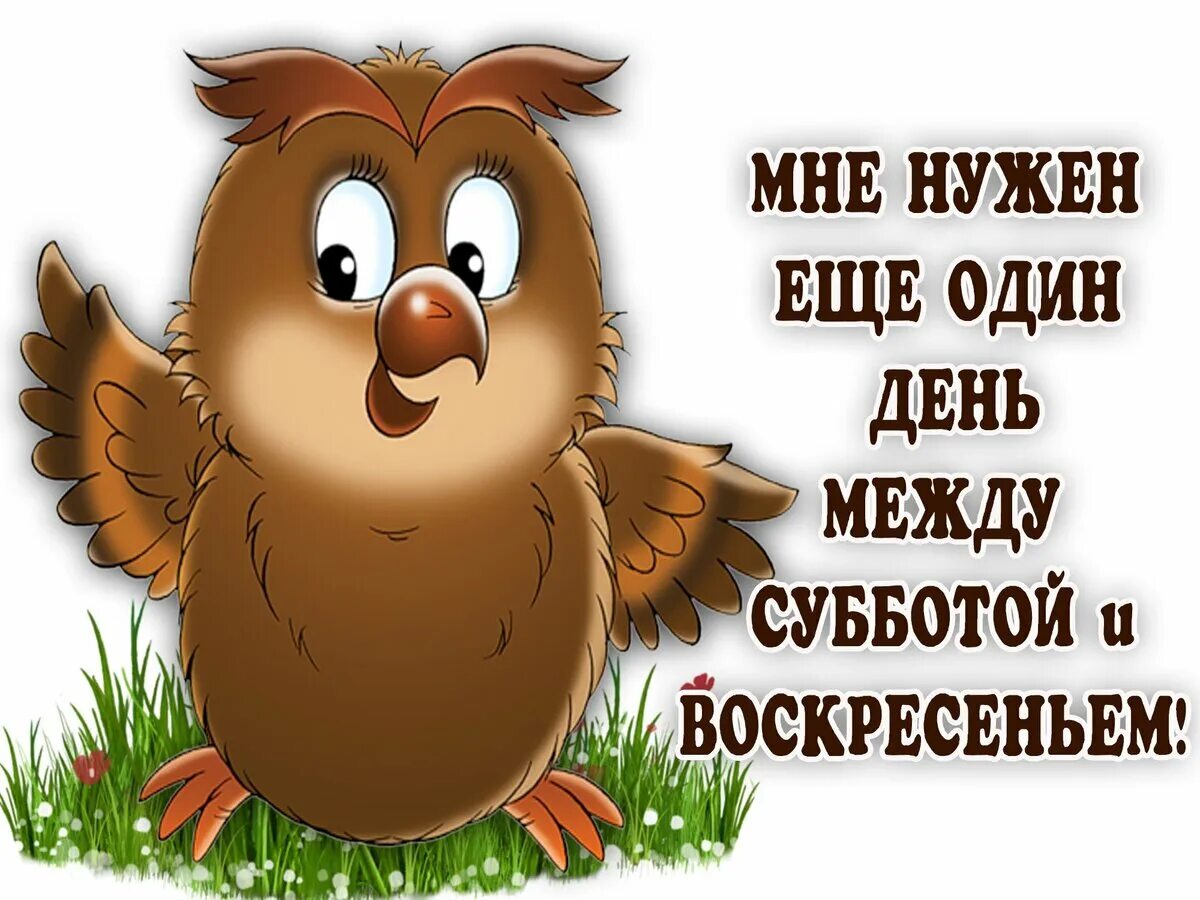 Будет вечер будут выходные. Открытки с воскресеньем прикольные. Афоризмы про воскресенье. Фразы про воскресенье. Воскресенье картинки прикольные.