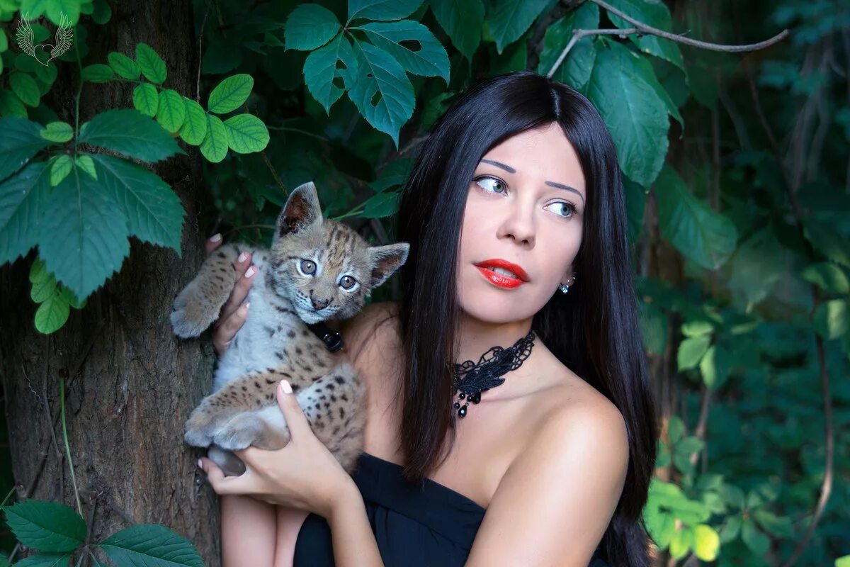 фурри каракал. девушка рысь. девушка рысь. фрейя с рысями. девушка рысь.