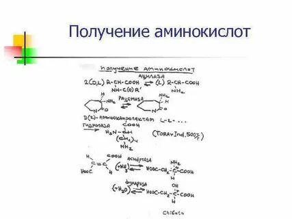 Аминокислоты можно получить