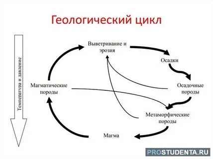 Зональность процессов в географической оболочке