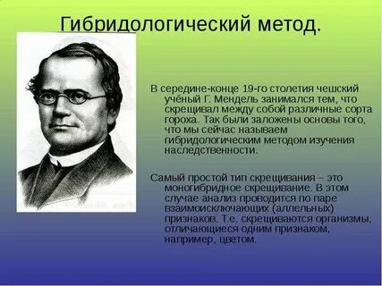 В основе гибридологического метода лежит