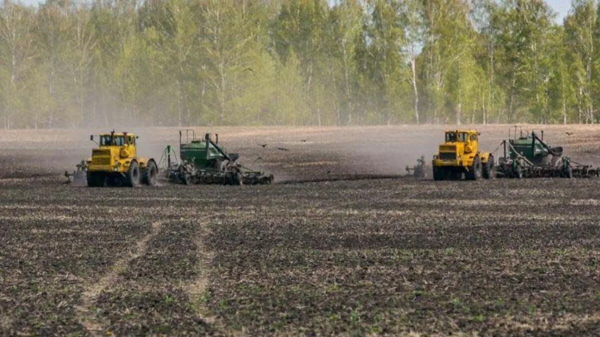 Посевная. Посевная новосибирск. Погода в посевной новосибирская область. Посевная. Посевная сибирь.