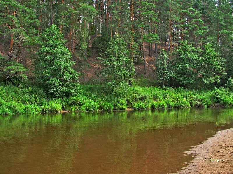 Река Меза Костромская область. Река Меза Кострома. Река Меза река Кострома. Мёза река. Реки озера костромской области