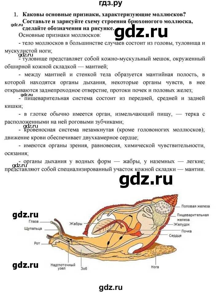 Конспект по биологии 7 Тип моллюски. Контрольная работа Тип молюск. Контрольная работа по биологии 7 класс моллюски. Тест биологии Тип моллюски.