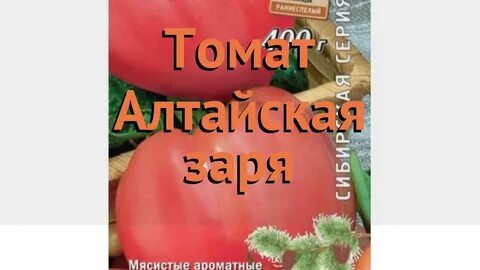 Томат заря описание сорта