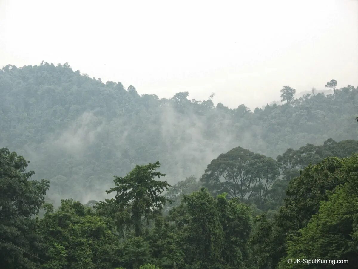 Дожди на дальнем востоке