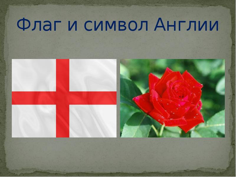 Символы Великобритании. Национальные символы Великобритании. Национальный символ Англии. Цветочные символы Великобритании.