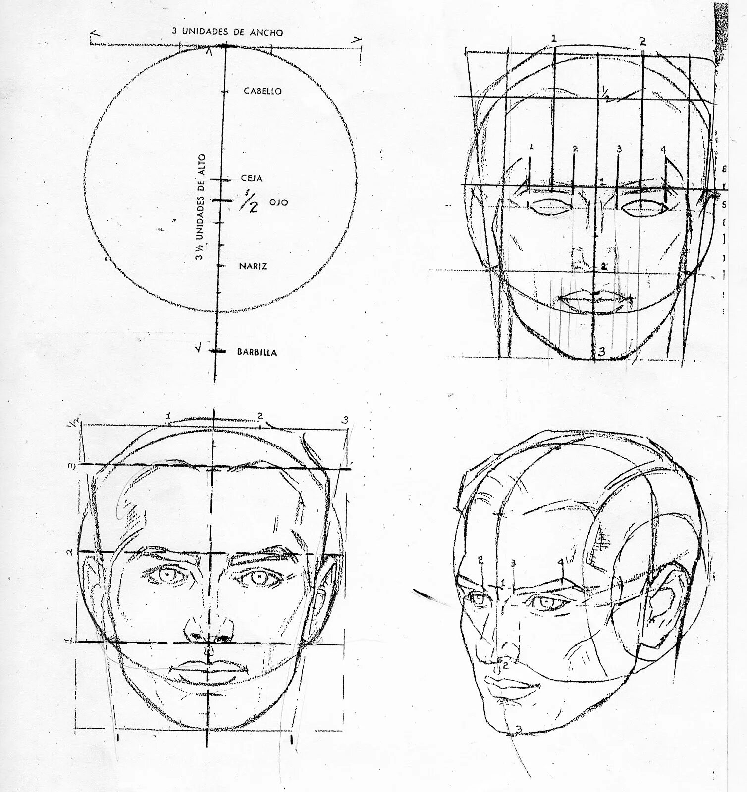 Лицо рисунок схема. Эндрю Лумис пропорции головы. Эндрю Лумис рисование головы. Рисование портрета Эндрю Лумис. Эндрю Лумис портрет схема.