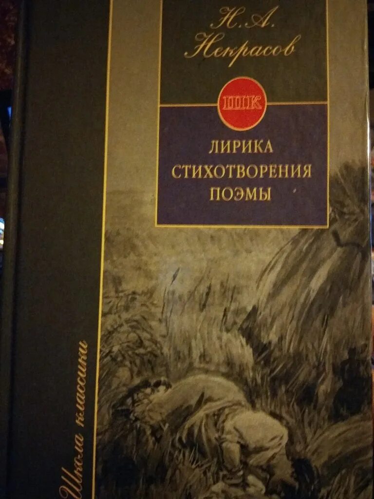 Некрасов н.а стихотворения и поэмы. Некрасов стихотворения и поэмы книга. Лирическое стихотворение чудище