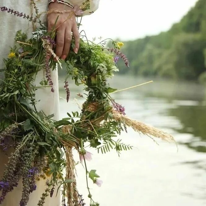 Цветок папоротника в ночь на ивана купала. Ивана купала растения. Ивана купала растения. Цветок папоротника на ивана купала. Славянская девушка в поле.