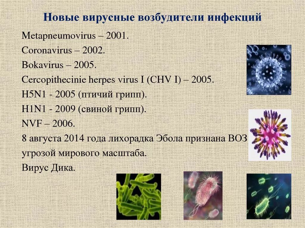 Описать вирусные заболевания. Вирусные заболевания. Возбудители вирусных заболеваний. Вирусы болезни вызываемые вирусами. Вирусы возбудители болезней человека.