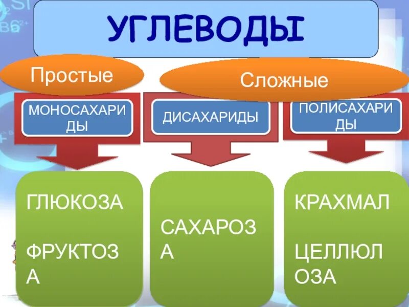 К моносахаридам относятся глюкоза сахароза целлюлоза