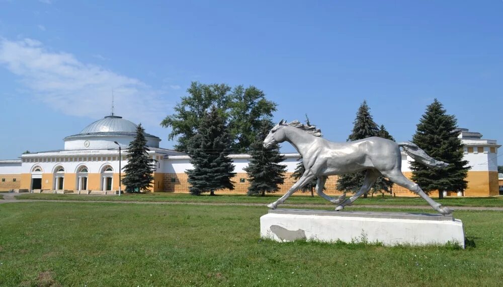 Село хреновое бобровского. Хреновской конный завод Бобровский район. Хреновской конный завод Воронеж. Конный завод в Хреновом Воронежской. Конный завод графа Орлова Воронежская.