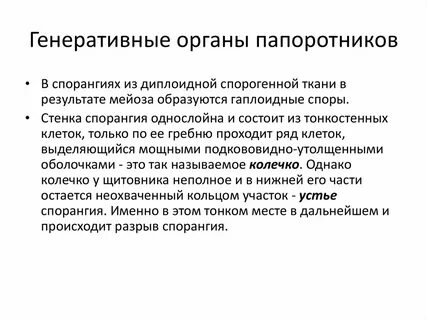 Генеративные предложения это