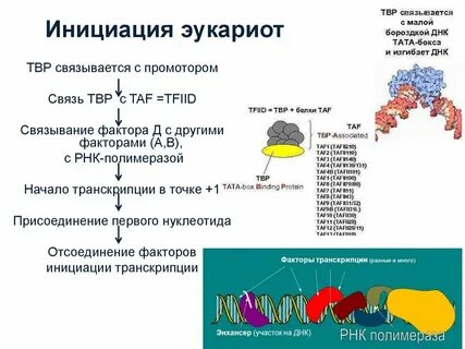 Слово инициация