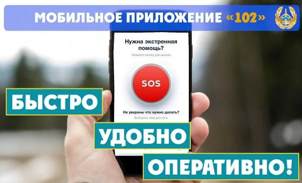 Приложение. Мы запустили мобильное приложение. Короче говоря от первого лица. Приложение 102. Чат с полицией.